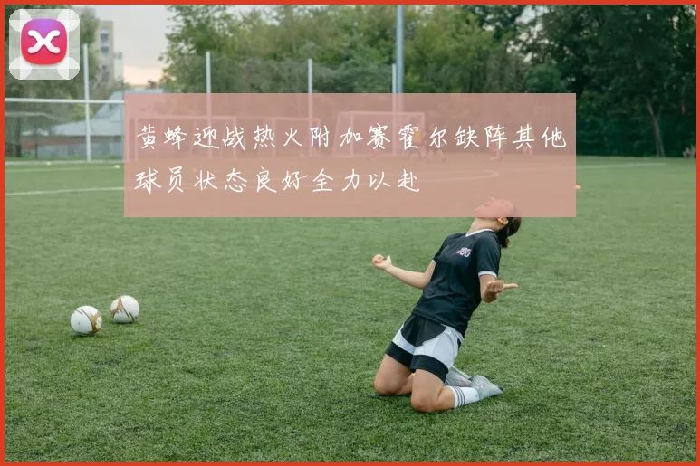 黄蜂迎战热火附加赛霍尔缺阵其他球员状态良好全力以赴